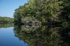 North of Wentzells Lake, LaHave River, NS