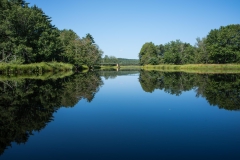 North of Wentzells Lake, LaHave River, NS