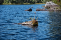 Shingle Lake, New Elm, NS