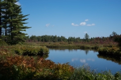 Shingle Lake, New Elm, NS