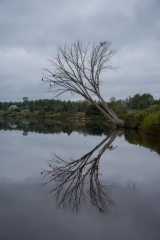 Annapolis River, NS
