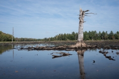 Black River Lake, Kentville, NS
