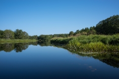 North of Wentzells Lake, LaHave River , NS