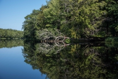 North of Wentzells Lake, LaHave River, NS