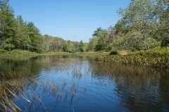 Indian Lake to Lake William's bridge, North Branch LaHave River, NS