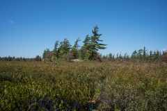 Shingle Lake, New Elm, NS