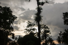 Saladero Eco Lodge,Evening Sky