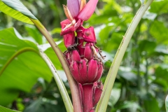 Botanical Gardens