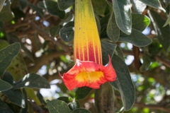 gc-ecuador-79