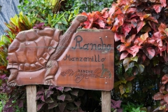 Santa Cruz, Galapagos Islands