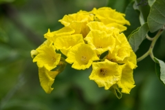 Santa Cruz, Galapagos Islands