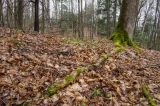 gc-day03--24
