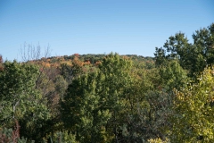 Happy Valley Forest, King Township, Ontario