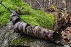 Happy Valley Forest, King Township, Ontario