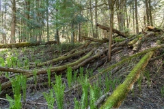 Private Proprety #2, King Township