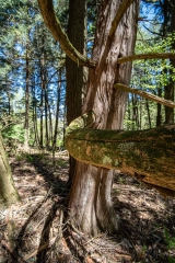 Private Proprety #2, King Township