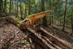 Private Proprety #2, King Township