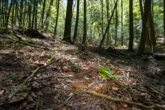 Private Proprety #2, King Township