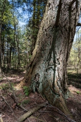 Private Proprety #2, King Township