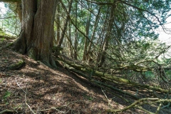 Private Proprety #2, King Township