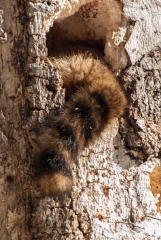 Private Proprety, King Township