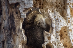 Private Proprety, King Township