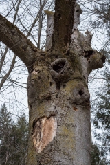 Private Proprety, King Township