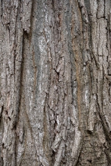 Private Proprety, King Township