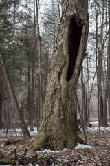 Private Proprety, King Township