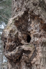 Private Proprety, King Township