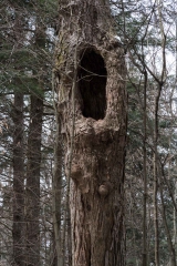 Private Proprety, King Township