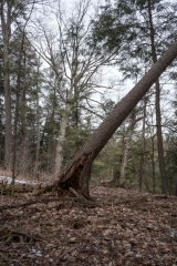 Private Proprety, King Township