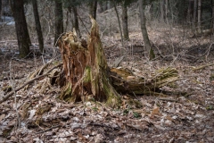 Private Proprety, King Township