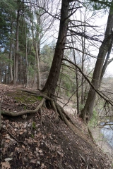 Private Proprety, King Township