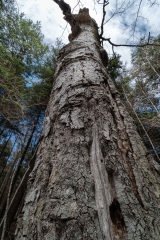 Private Proprety, King Township