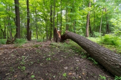 Private Proprety, King Township