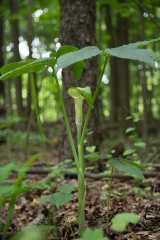 Private Proprety, King Township