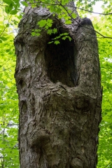 Private Proprety, King Township