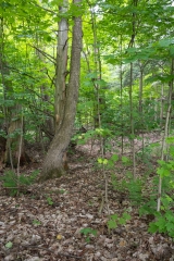 Private Proprety, King Township