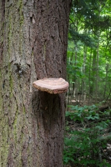 Private Proprety, King Township