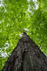 Private Proprety, King Township