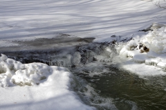 William-Granger Greenway – Humber Trail