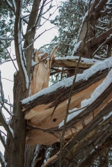 William-Granger Greenway – Humber Trail