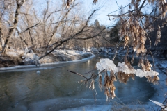 William-Granger Greenway – Humber Trail