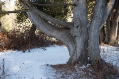 William-Granger Greenway – Humber Trail
