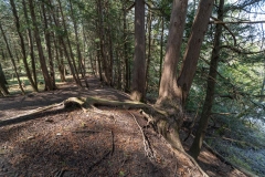 Humber Valley Heritage Trail, Bolten