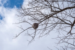 Humber Valley Heritage Trail, Bolten
