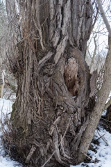 Humber Valley Heritage Trail