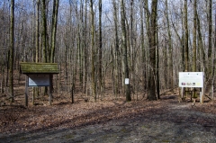 Area-01--1