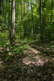 Area-04--7